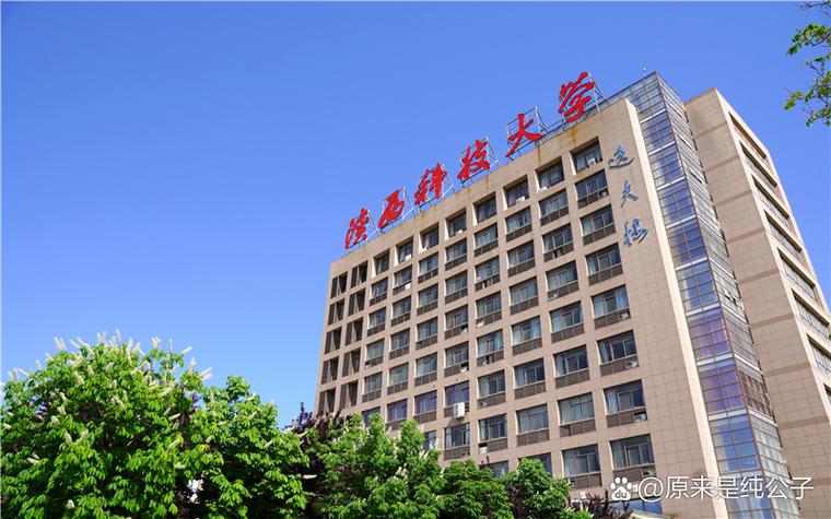 轻工特色高校的科技锋芒 造纸专业全国领先，信息科技领域亦展实力